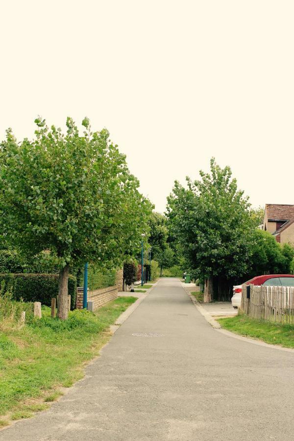 De Veldmuis, Met Mooie Speelhoek En Speelhuis コクセッド エクステリア 写真